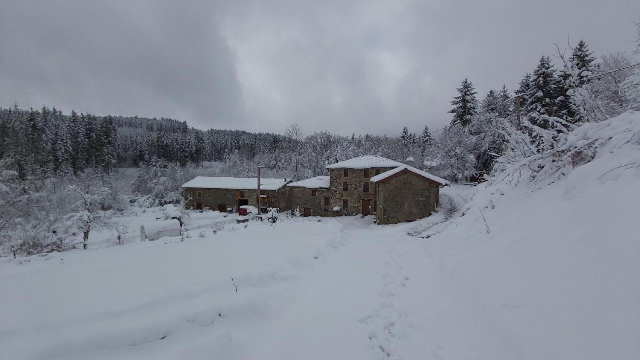 Gite Du Moulin Chenelette Esterno foto